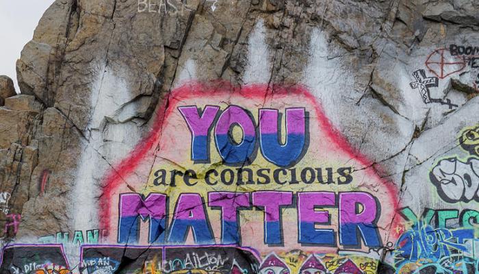 You are consciuos matter