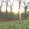 Photo: TV Limburg Photo: TV Limburg